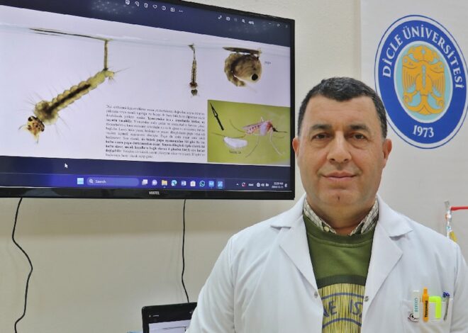 Uzman isim uyardı: Larva döneminde mücadele şart